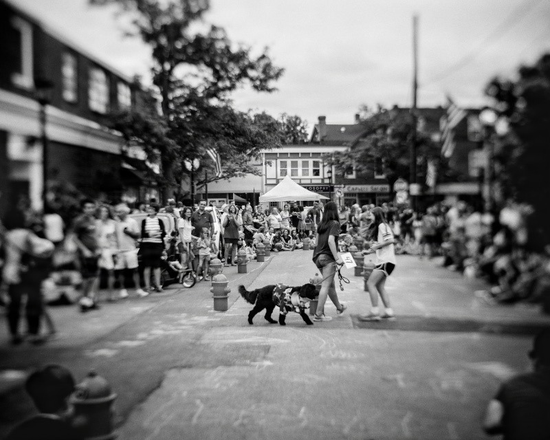 Narberth19.jpg