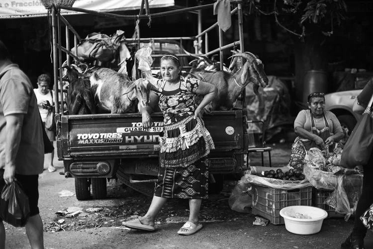 Black and white image of a woman standing next to a truck with goats in the back. Another woman sits nearby with avocados and produce. Street market scene.