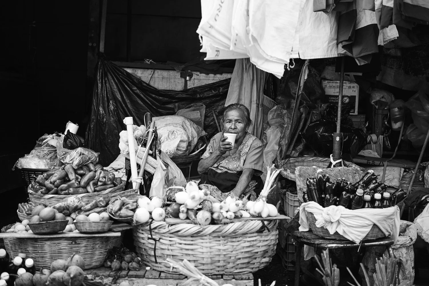 El Mercado Central
