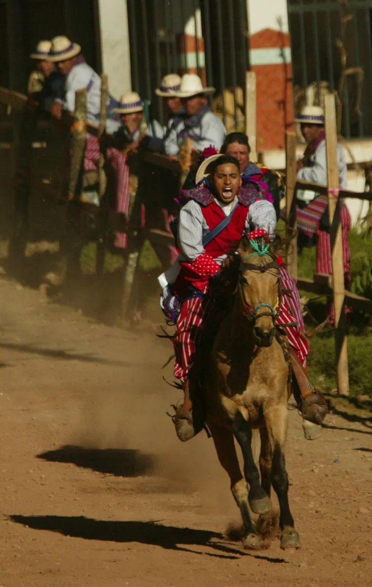 A person riding a horse in a traditional cultural parade, dressed in colorful attire with onlookers in the background.