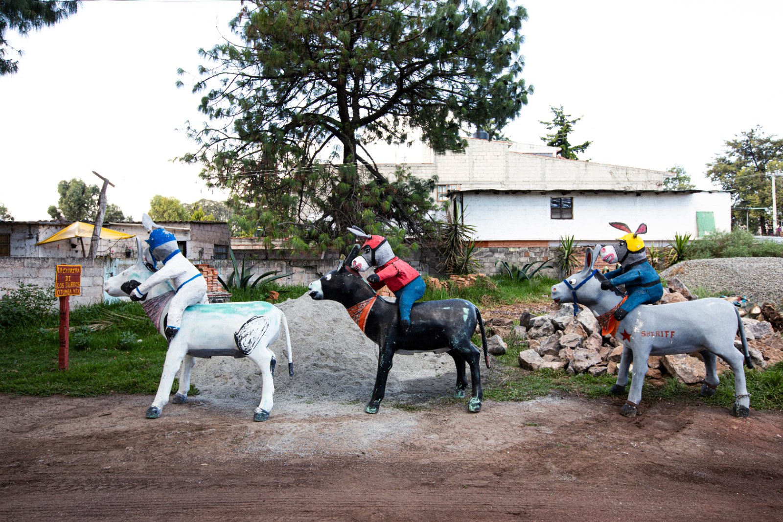 Burrolandia: The donkey obsession