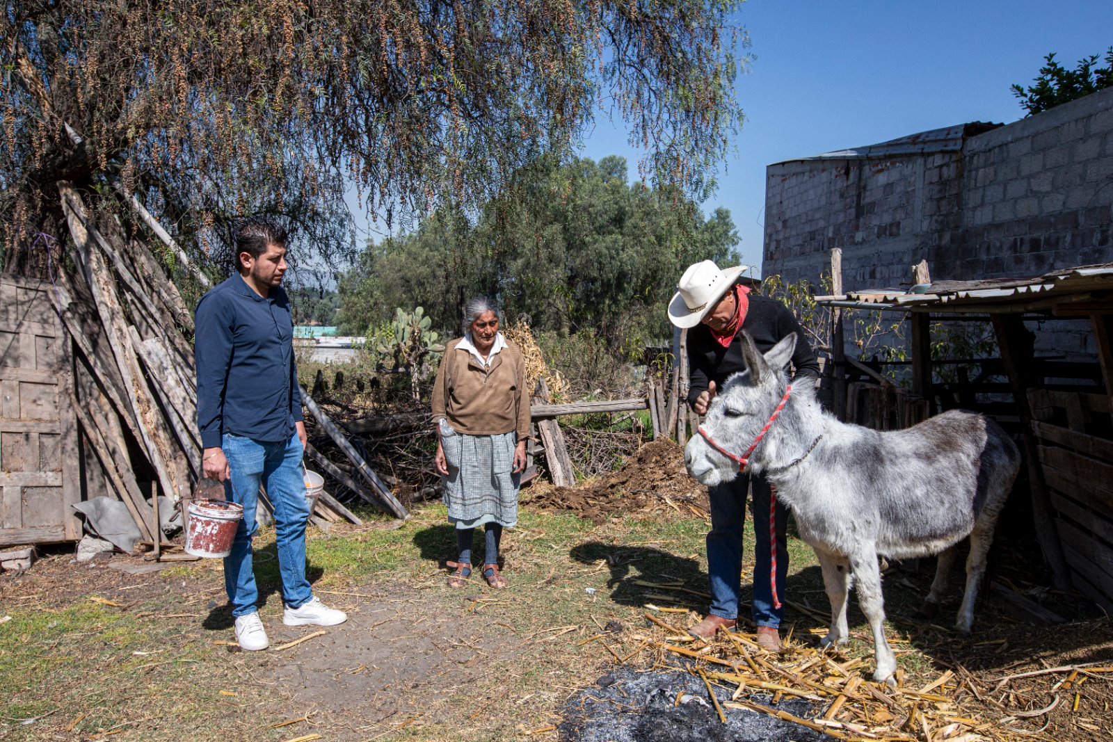 Burrolandia: The donkey obsession