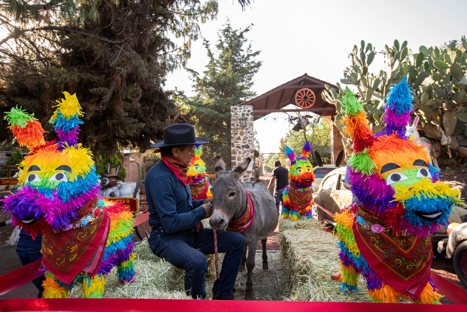 Burrolandia: The donkey obsession