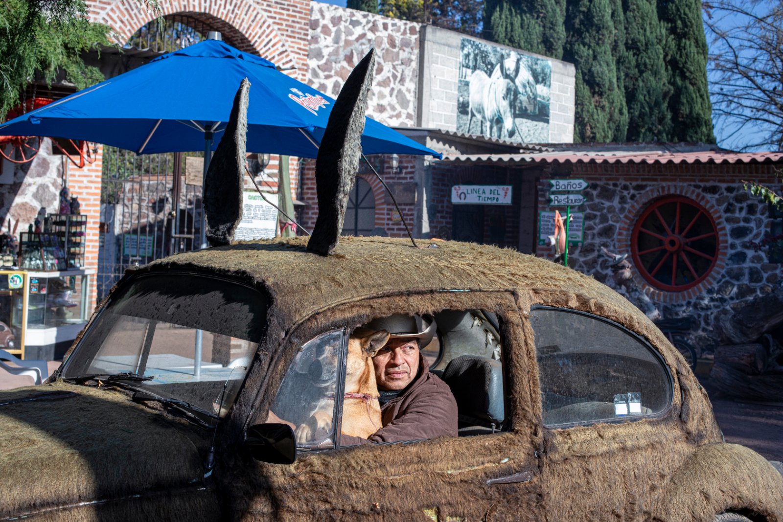 Burrolandia: The donkey obsession