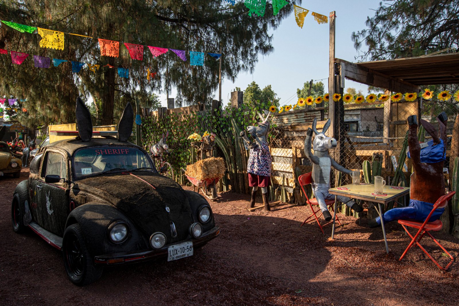 Burrolandia: The donkey obsession