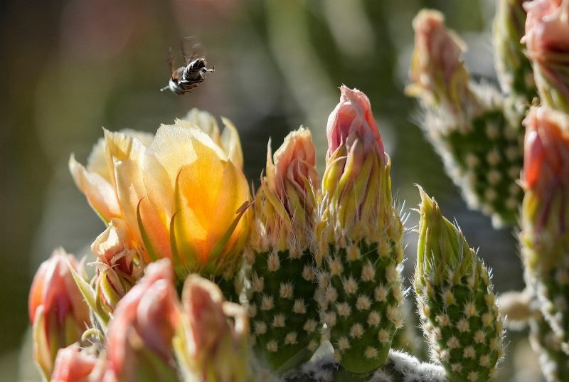Arizona_Scenics_0056.jpg