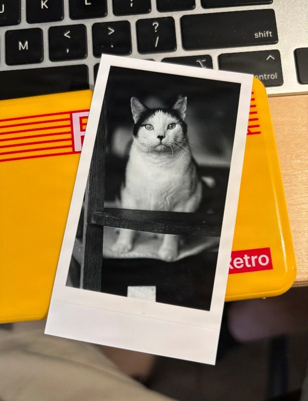 Cal_the_Cat_0046.jpg