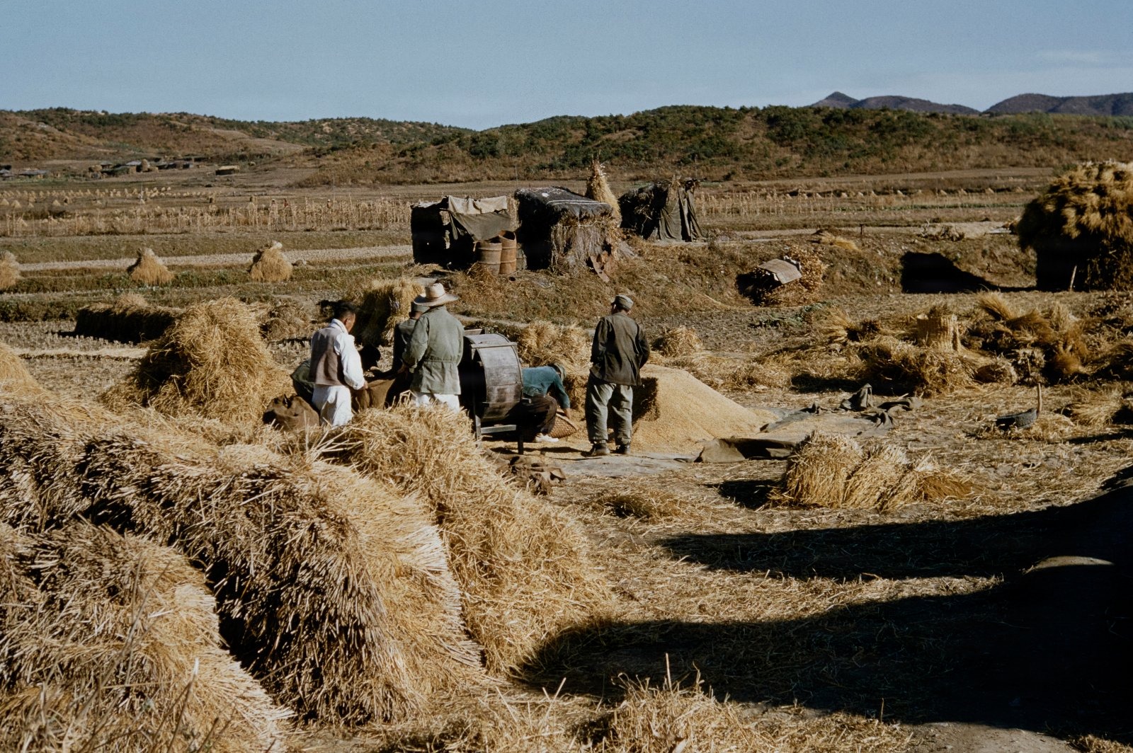 Harvest South Korea                               