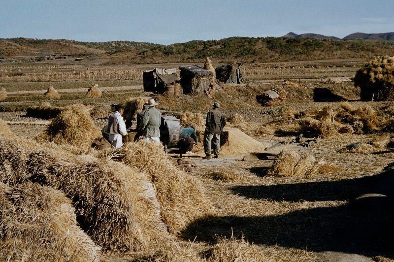 Harvest South Korea                               