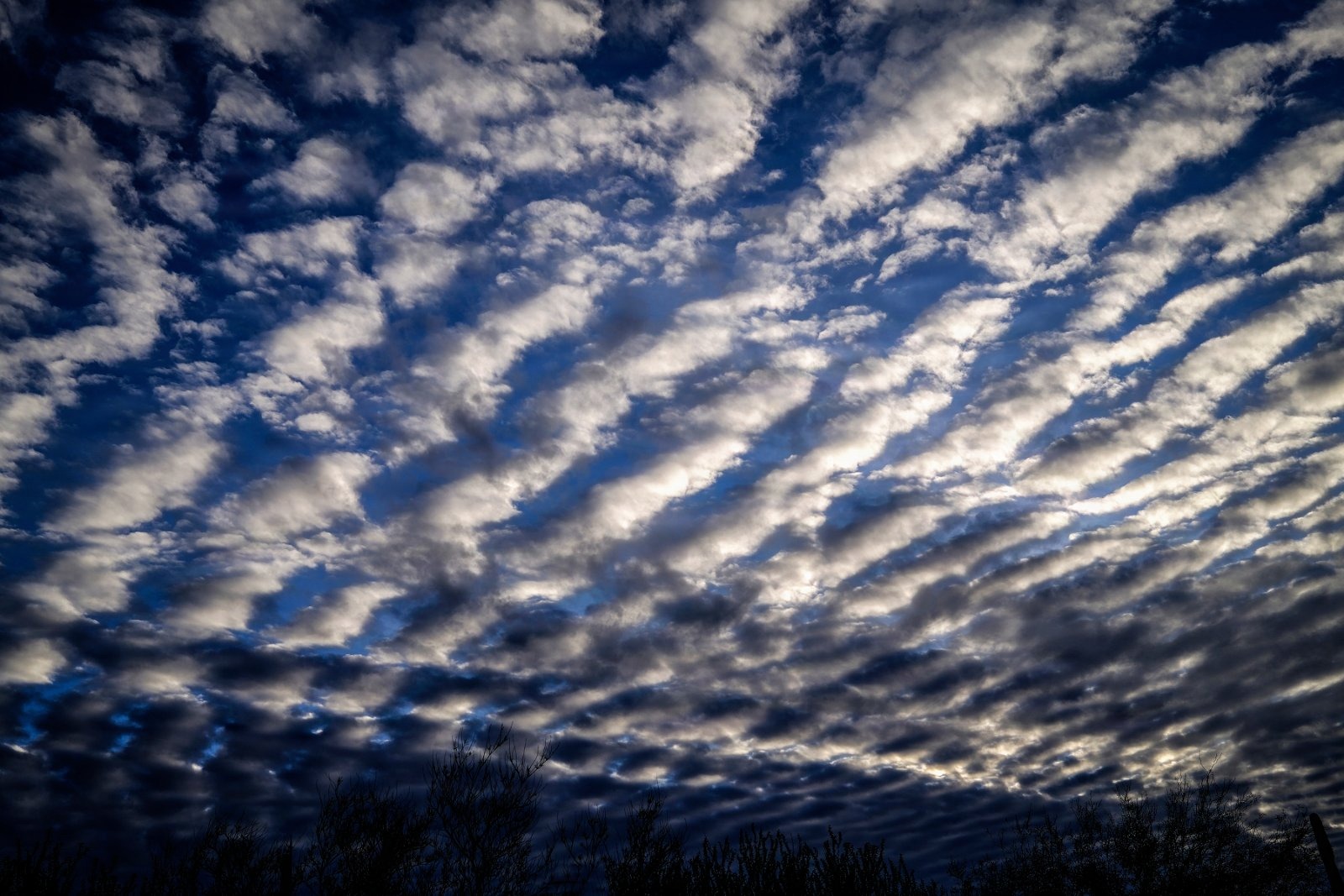 Evening Clouds