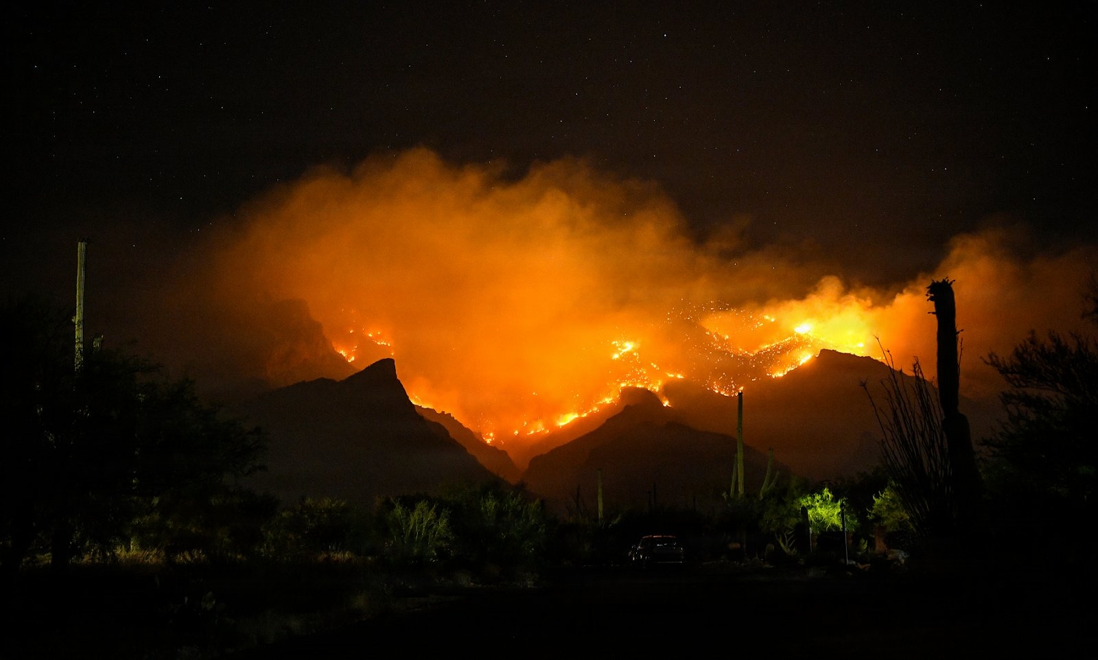 Summer Wildfire Catalina Mountains