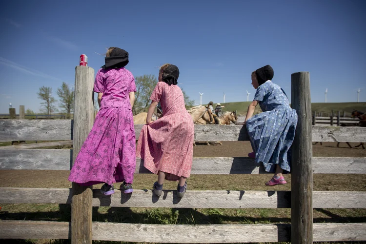 Hutterite Girls on Fence