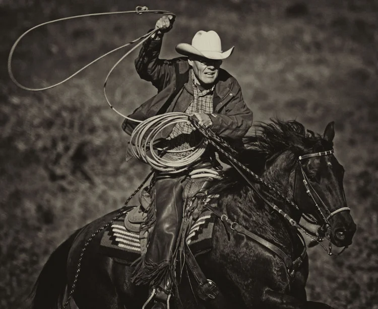 western17