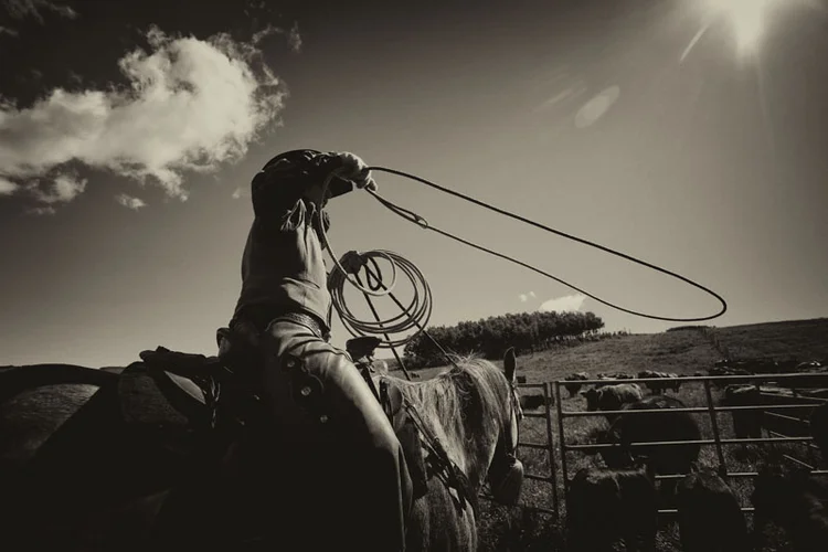 western9