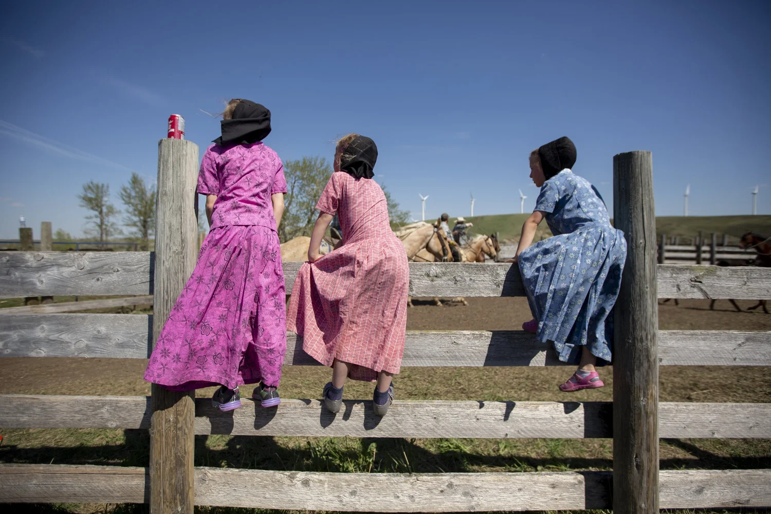 Hutterite Girls on Fence