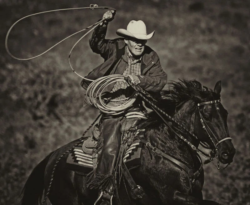 western17