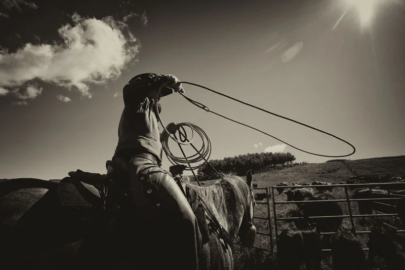 western9