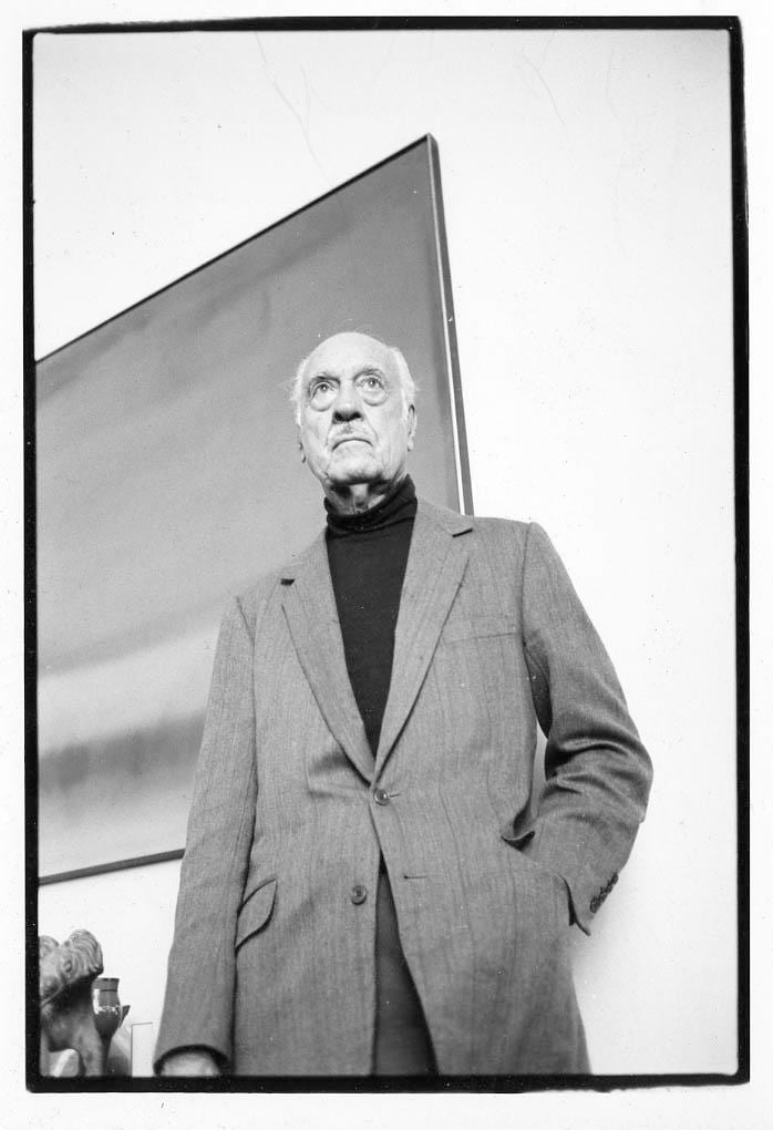Esteban Vicente, Painter.Photograph by Meg Handler