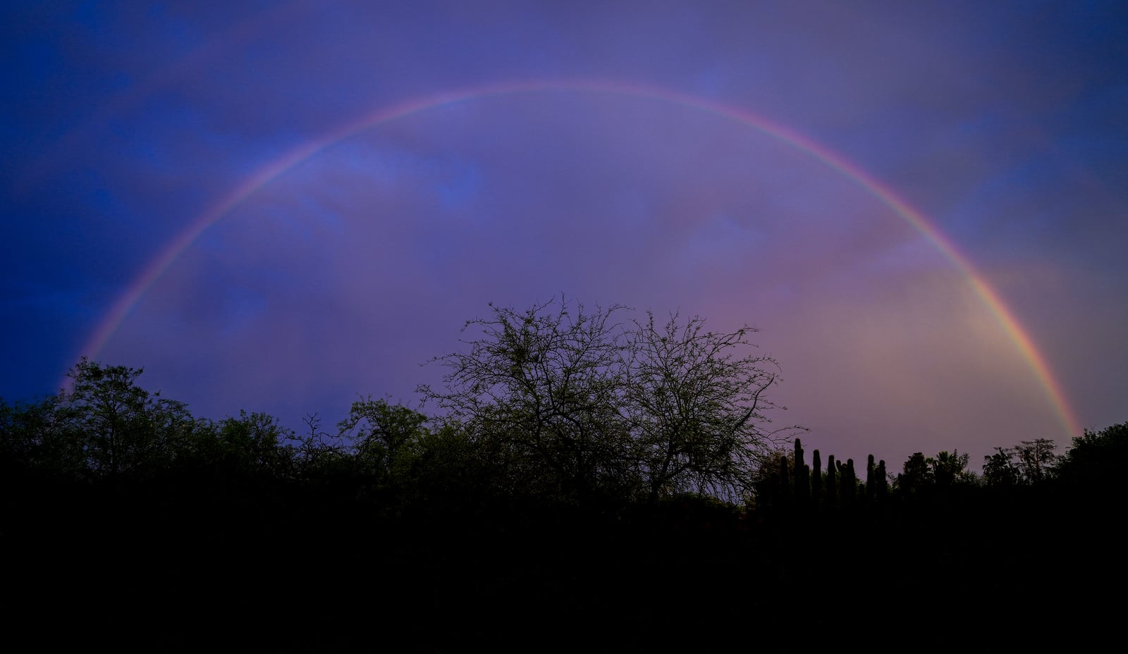TUCSON RAINBOW