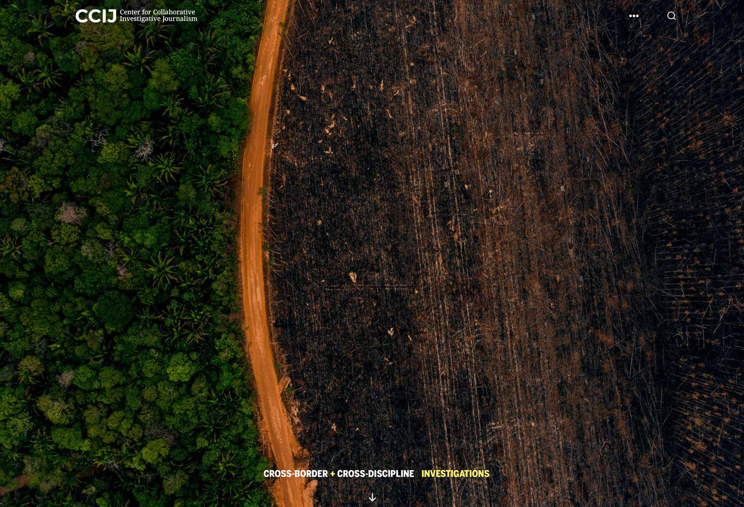 ccij homepage 05