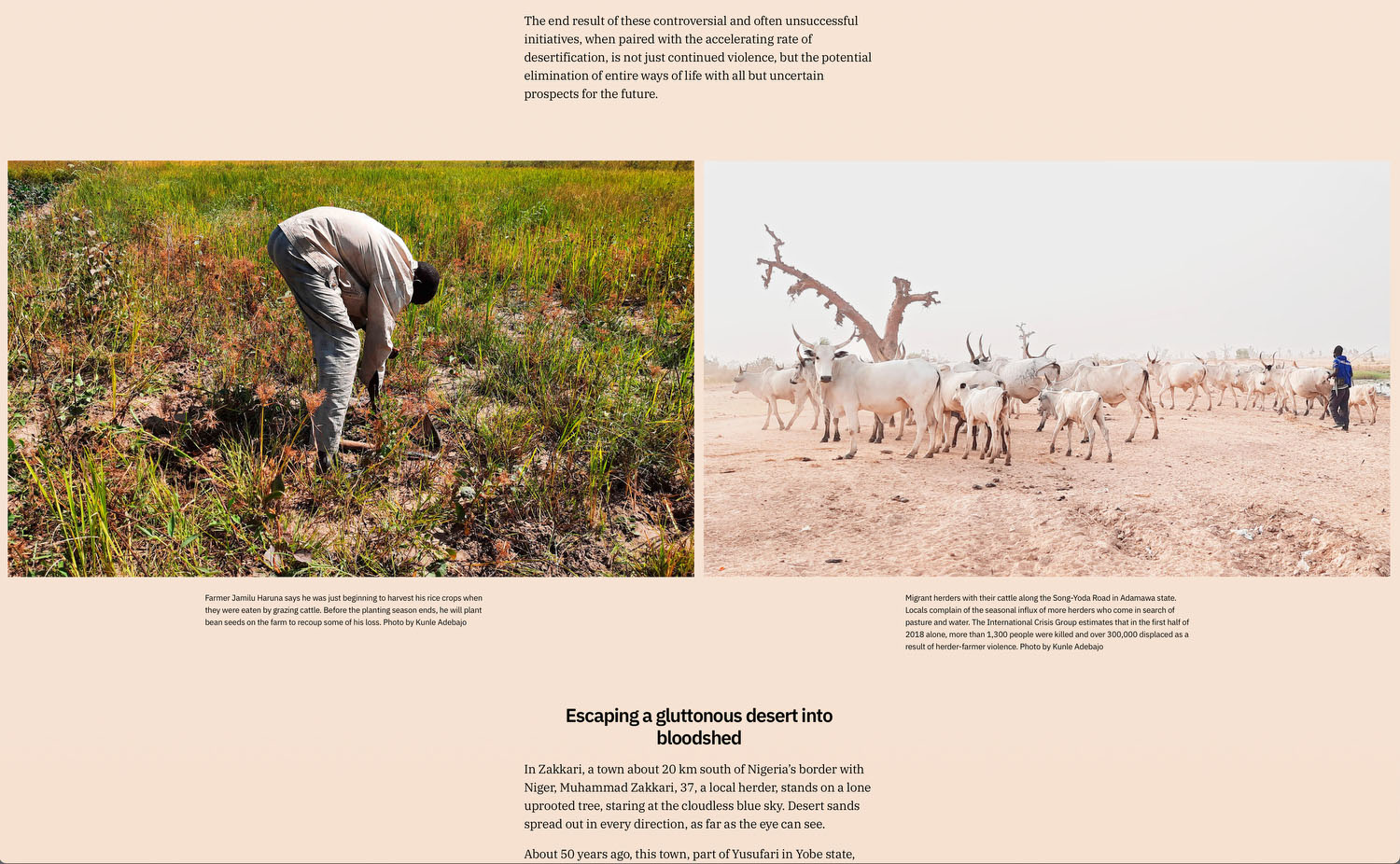 Nigeria Desertification 03