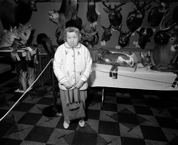 Taxidermy Convention